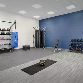 Health club  fitness center  gym