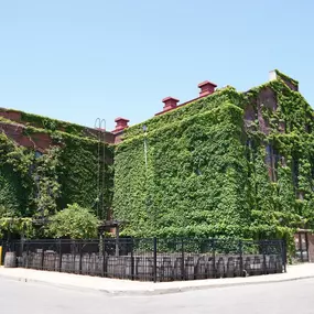 Bild von Binny's Beverage Depot - Lincoln Park