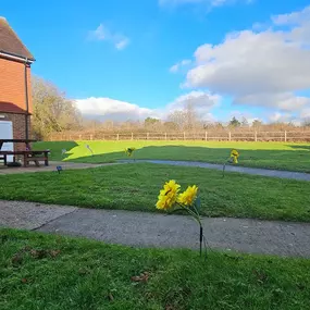 Bild von Roselands Residential Home