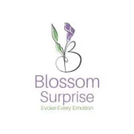 Logo od Blossom Surprise Ltd