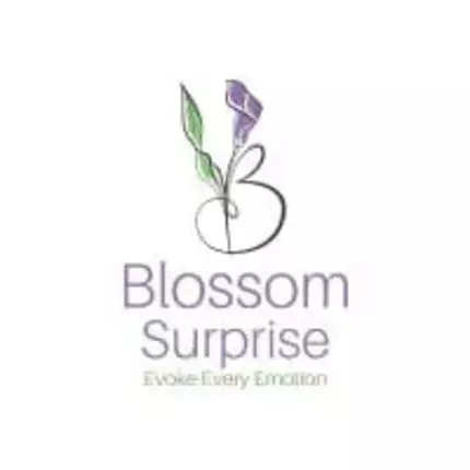 Logo from Blossom Surprise Ltd