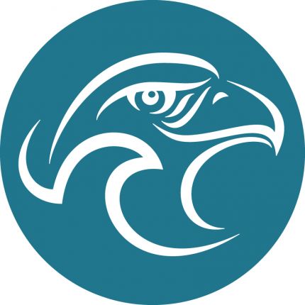 Logo da Eagle Kite