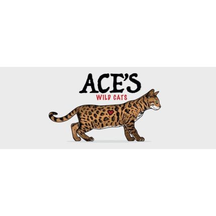 Logo from Ace's Wild Cats