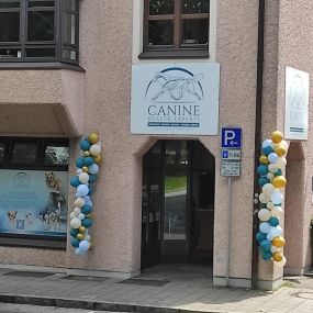 Bild von Canine Health Experts