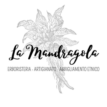 Logotyp från La Mandragola - Erboristeria, Cosmesi, Abbigliamento Etnico