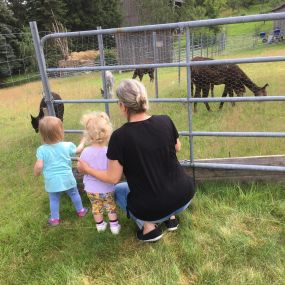 Bild von Kinderstube Klitzeklein Tagesmutter Silke Bochmann