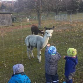 Bild von Kinderstube Klitzeklein Tagesmutter Silke Bochmann