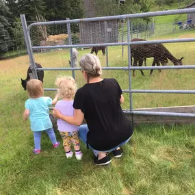 Bild von Kinderstube Klitzeklein Tagesmutter Silke Bochmann