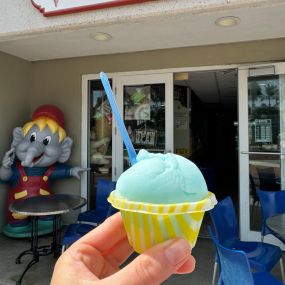 Bild von Key West Polar Bear Ice Cream Parlor