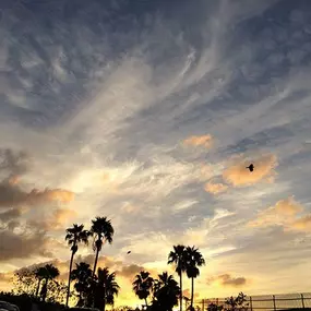 Original photo Santa Barbara sky and bird