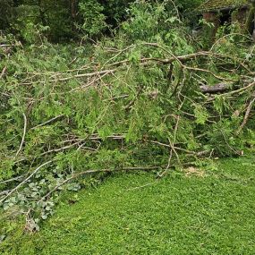 Bild von Alles rund ums Haus & Holzfällungen