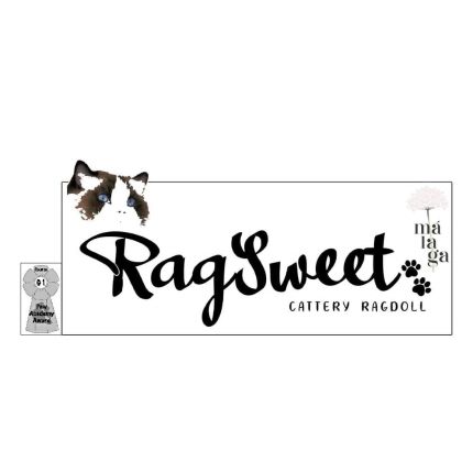 Logótipo de Ragdoll RagSweet