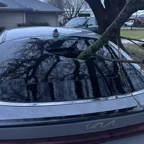 Bild von Titan Auto Glass