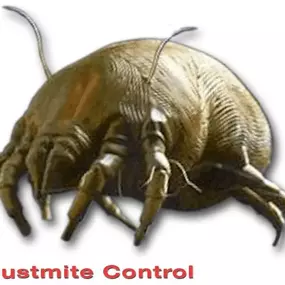 Bild von Paramite Pest Solutions