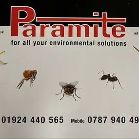 Bild von Paramite Pest Solutions