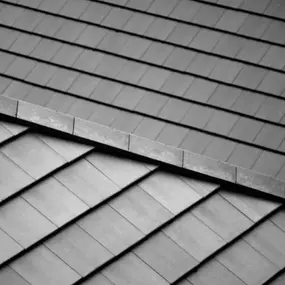 Bild von Pegasus Roofing