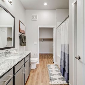 Ascend at Pioneer Hill - Modern Bathroom With Walk-In Closet