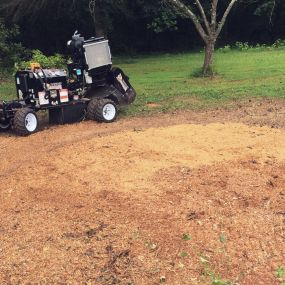 Bild von Full Circle Stump Grinding & Tree LLC