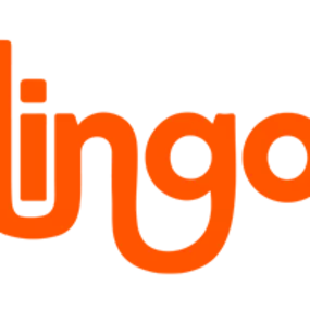 Bild von Lingo