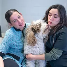 Pet Care at Dominion Valley Animal Hospital