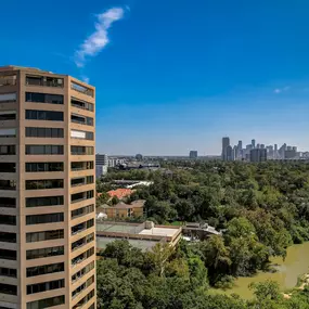 Best Realtor in Houston