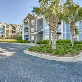 a row of houses with palm trees in front of them at Spring Creek Apartments