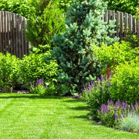 Freshly maintained lawn and landscaping.