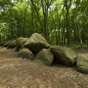 Bild von Camping Hümmlinger Land