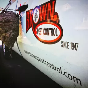 Bild von Brown Pest Control