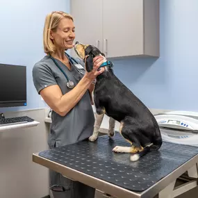 Bild von Livewell Animal Hospital at The Parks