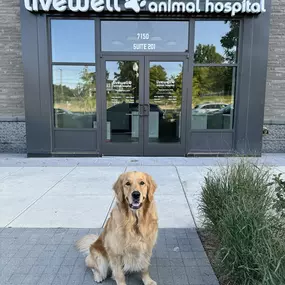 Bild von Livewell Animal Hospital at The Parks