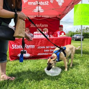 Such an awesome day spent at the PawPalooza event in Wappingers Falls today! So many doggies!