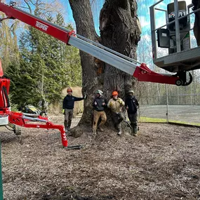 Bild von Deering Tree Service