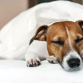 Bild von Holiday Inn - the niu, Air Frankfurt Messe by IHG