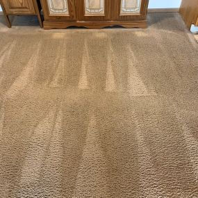 We are the top choice for dry carpet cleaning in and around New Albany, Ohio!  We also clean tile, grout, vinyl, and more!  Contact us today for details or to schedule service!