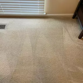 We are the top choice for dry carpet cleaning in and around New Albany, Ohio!  We also clean tile, grout, vinyl, and more!  Contact us today for details or to schedule service!