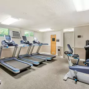 the gym has plenty of cardio equipment and treadmills