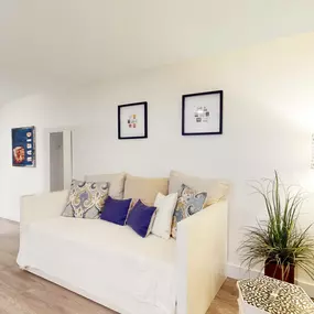 a living room with a couch and a potted plant