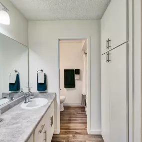 a bathroom with a sink and a mirror and a closet