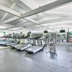 a gym with cardio equipment and weights on the floor