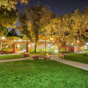 a park with benches and grass and trees at night