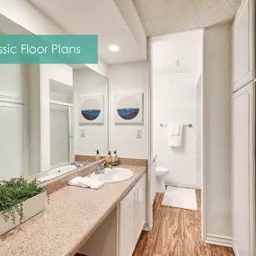 a bathroom with a sink and a mirror and a closet