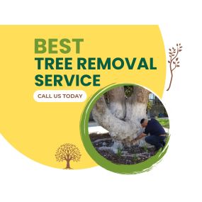 Bild von JC Tree Care & Landscape