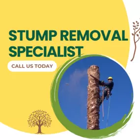 Bild von JC Tree Care & Landscape