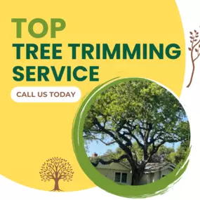 Bild von JC Tree Care & Landscape