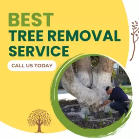 Bild von JC Tree Care & Landscape