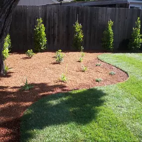 Bild von JC Tree Care & Landscape