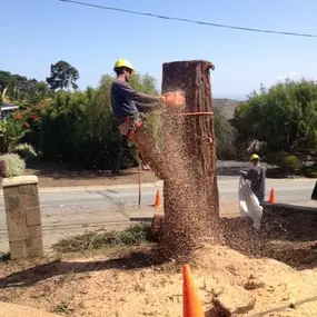 Bild von JC Tree Care & Landscape