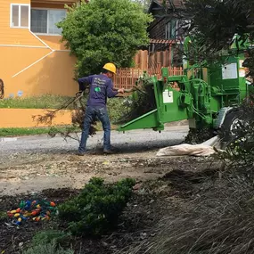 Bild von JC Tree Care & Landscape