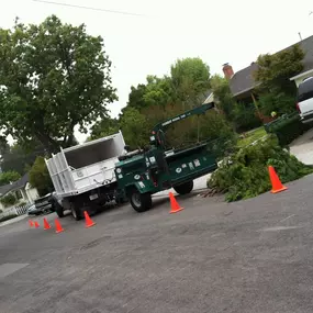 Bild von JC Tree Care & Landscape